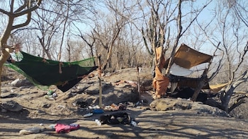 Marina inhabilita narcocampamento de “Los Mayos” en Elota, Sinaloa