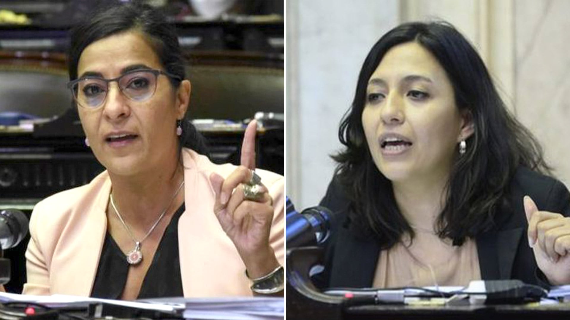 La senadora Carolina Moisés y la diputada Leila Chaher compiten en la interna