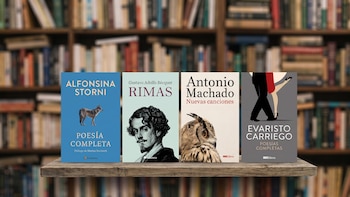 Qué leer: cuatro libros gratuitos donde cada poema “tiene algo de armadura”