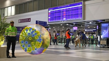 Gripe H3N2: La advertencia del