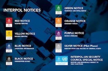 Tipos de fichas de la Interpol. Crédito: Interpol