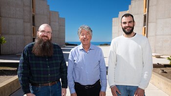 Descubren las capacidades del ARN