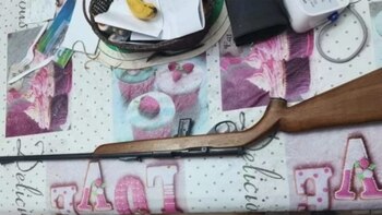 El arma que utilizó el