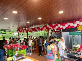 El proyecto es liderado por