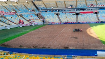 El césped atraviesa un proceso