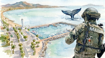 Ilustración acuarela de un marinero de espaldas observando una cola de ballena en el mar. Se ve un puerto, faro, palmeras y montañas a lo lejos.