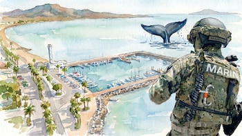 Marina omite daño ambiental que afecta a ballenas: así justifica decreto que convierte a Loreto en puerto de altura y cabotaje