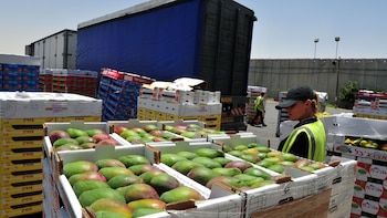 SENASA amplía su rol logístico en el comercio de alimentos