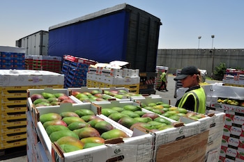El esquema mantiene intactas las competencias específicas de ANMAT en su ámbito sanitario propio, mientras SENASA absorbe las funciones operativas de registro y fiscalización vinculadas al comercio exterior de alimentos (Foto: Shutterstock)