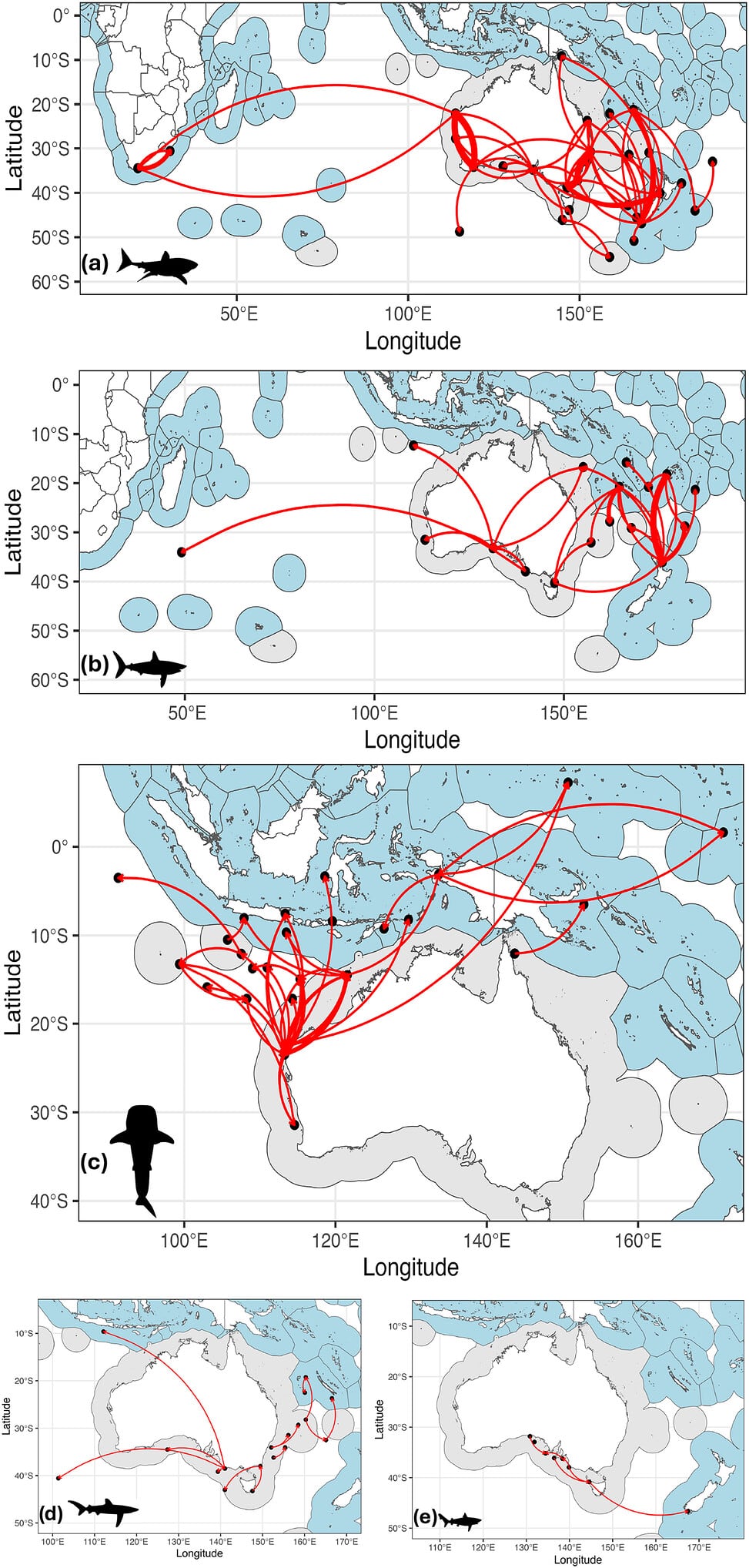 Un estudio de la Universidad de Queensland concluyó que los tiburones y rayas migratorios de Australia enfrentan normas de protección desiguales fuera de sus aguas (Gentileza, estudio Integración de datos de conectividad migratoria en la conservación de tiburones y rayas australianos, publicado en Conservation Biology)