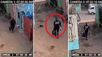 Cámaras revelan plan: Buscan a niña de seis años presuntamente raptada por su tío en República Dominicana