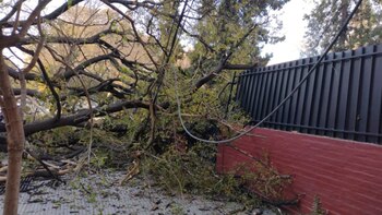 Un relevamiento difundido por las