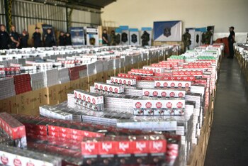 En total, se realizaron 22