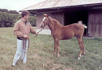 Jorge Torres Zavaleta en su