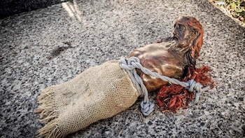 Imagen CT7PXEMXCVEA7NTD5ZEPG2DPVM