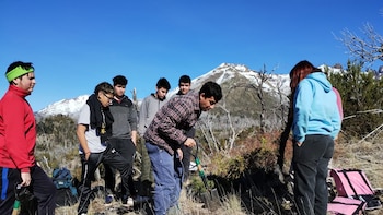 La escuela de Chubut que lleva 20 años reforestando el bosque: sus alumnos ya plantaron más de 32.000 árboles