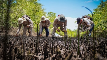 MARN: El monitoreo constante de ecosistemas sostiene la salud ambiental en El Salvador