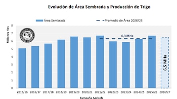 ¿Cómo se prepara la siembra de trigo para el ciclo 2026/27?