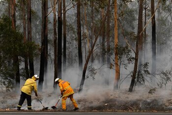 Voluntarios del Servicio de Bomberos Rurales (RFS) y funcionarios de Bomberos y Rescate de NSW contienen un pequeño foco de incendio forestal que cerró la autopista Princes Highway, al sur de Ulladulla, Australia.
