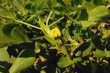 El frío cordobés y un