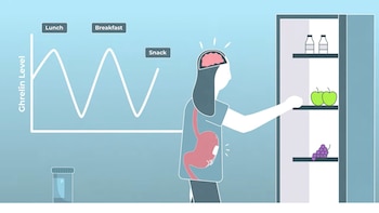 Una persona frente a un refrigerador abierto, una ilustración de un estómago con un dispositivo y una gráfica sobre niveles de grelina