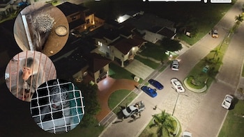 Animales exóticos Tamaulipas