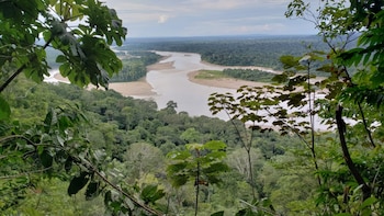 Investigación científica amplía inventario de escarabajos estercoleros en el Perú. (Foto: Agencia Andina)