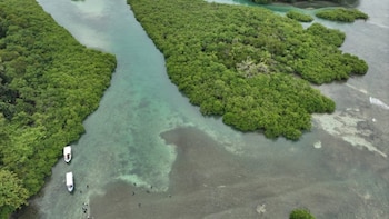 Convención Mundial para la conservación de humedales se realizará en Panamá en 2028