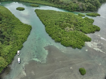Los humedales actúan como corredores naturales únicos para especies migratorias y son áreas irremplazables de reproducción para peces y aves. (Cortesía)