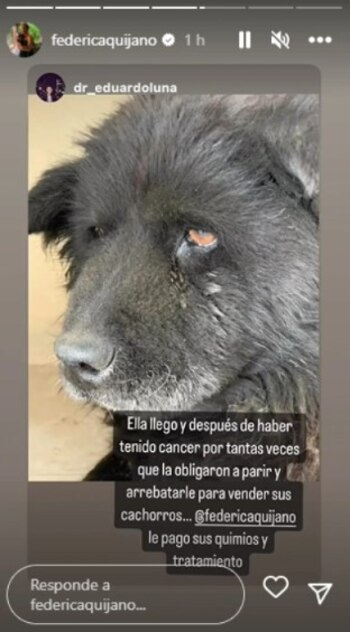 Quijano compartió las historias que