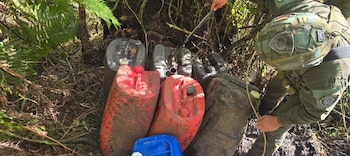 La acción combinada de la Policía, la DIJIN y Comandos Jungla impidió la consolidación de rutas rurales usadas por redes delictivas para fortalecer su presencia en la región limítrofe con la capital del país - crédito Car Cundinamarca