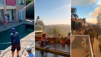 Sistema de bajo costo involucra