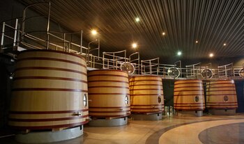 Bodegas Salentein, fundada en 1996