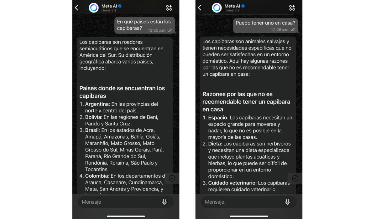 Se le pueden realizar consultas de cualquier tipo a Meta AI. (Meta AI / WhatsApp)