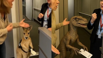 Los mejores memes mexicanos del