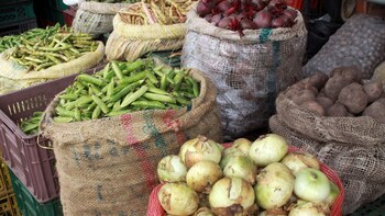 Imagen CTTNLYCLJNER5KL4FYCBCEO7E4