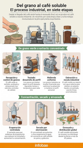 Infografía del proceso de café soluble: granos verdes, maquinaria industrial, frasco de café instantáneo, taza, mapa de distribución global. Fuente: Infobae