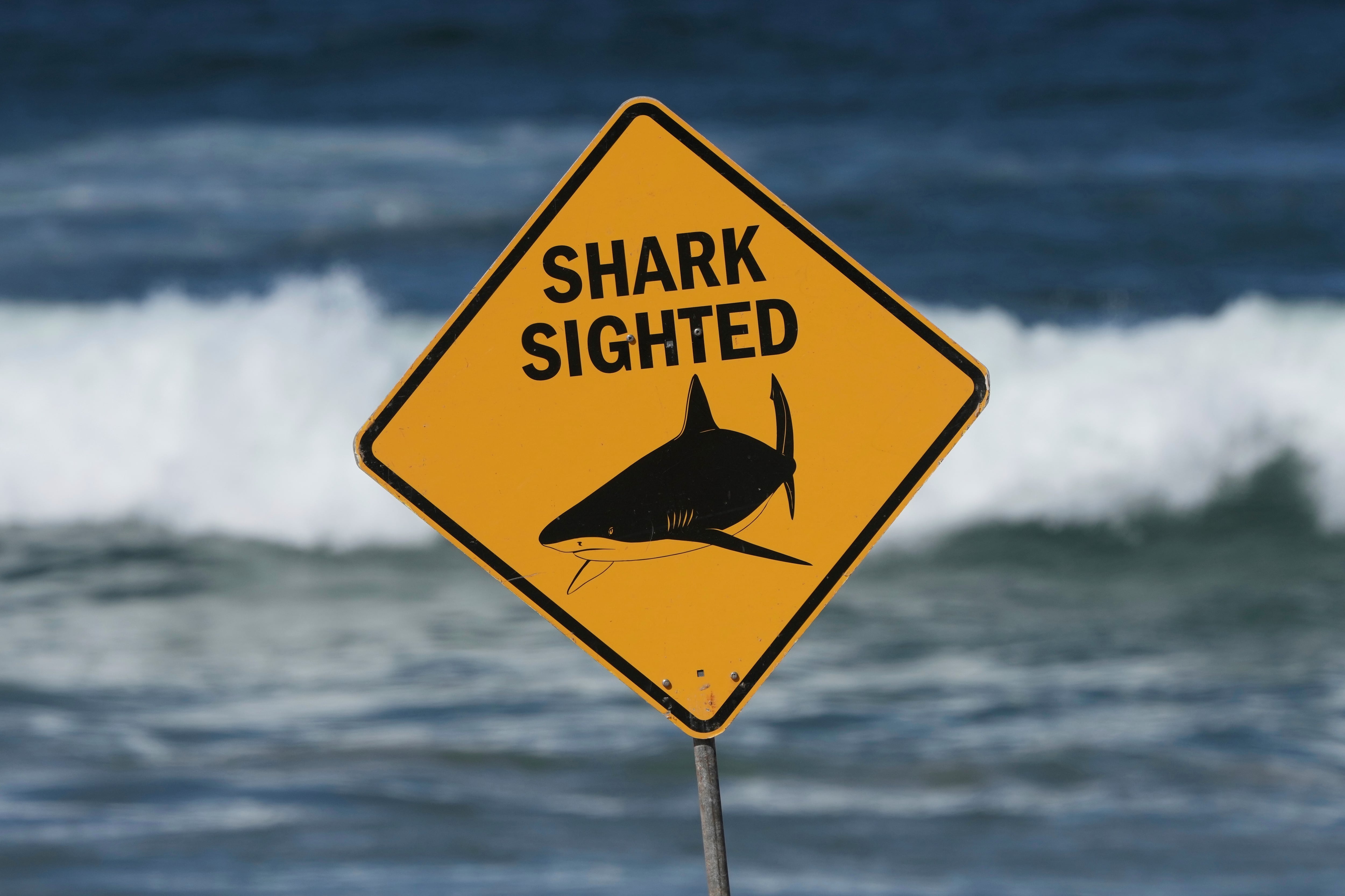 Un cartel señaliza el lugar de un ataque fatal de tiburón en la playa Dee Why de Sídney, en una imagen de archivo. Australia registró el domingo su tercer ataque mortal de tiburón en 2026, el segundo en menos de una semana. (AP Foto/Mark Baker, Archivo)
