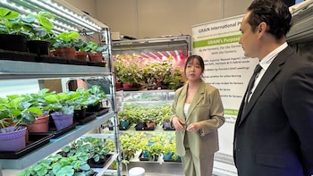 Singapur y El Salvador abren diálogo para impulsar la innovación agrícola
