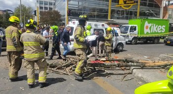 Los bomberos atendieron la situación