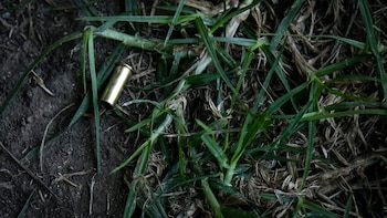 Así va el proceso de