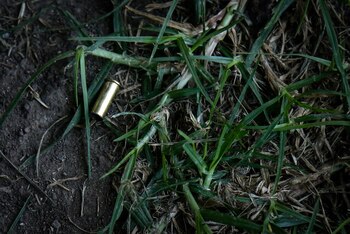 Así va el proceso judicial