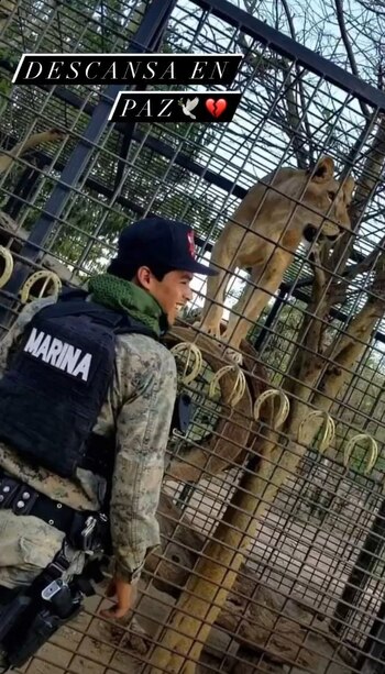 Chapitos Cártel de Sinaloa Ovidio Guzmán Fuerzas Especiales Ratón (Foto: Especial)