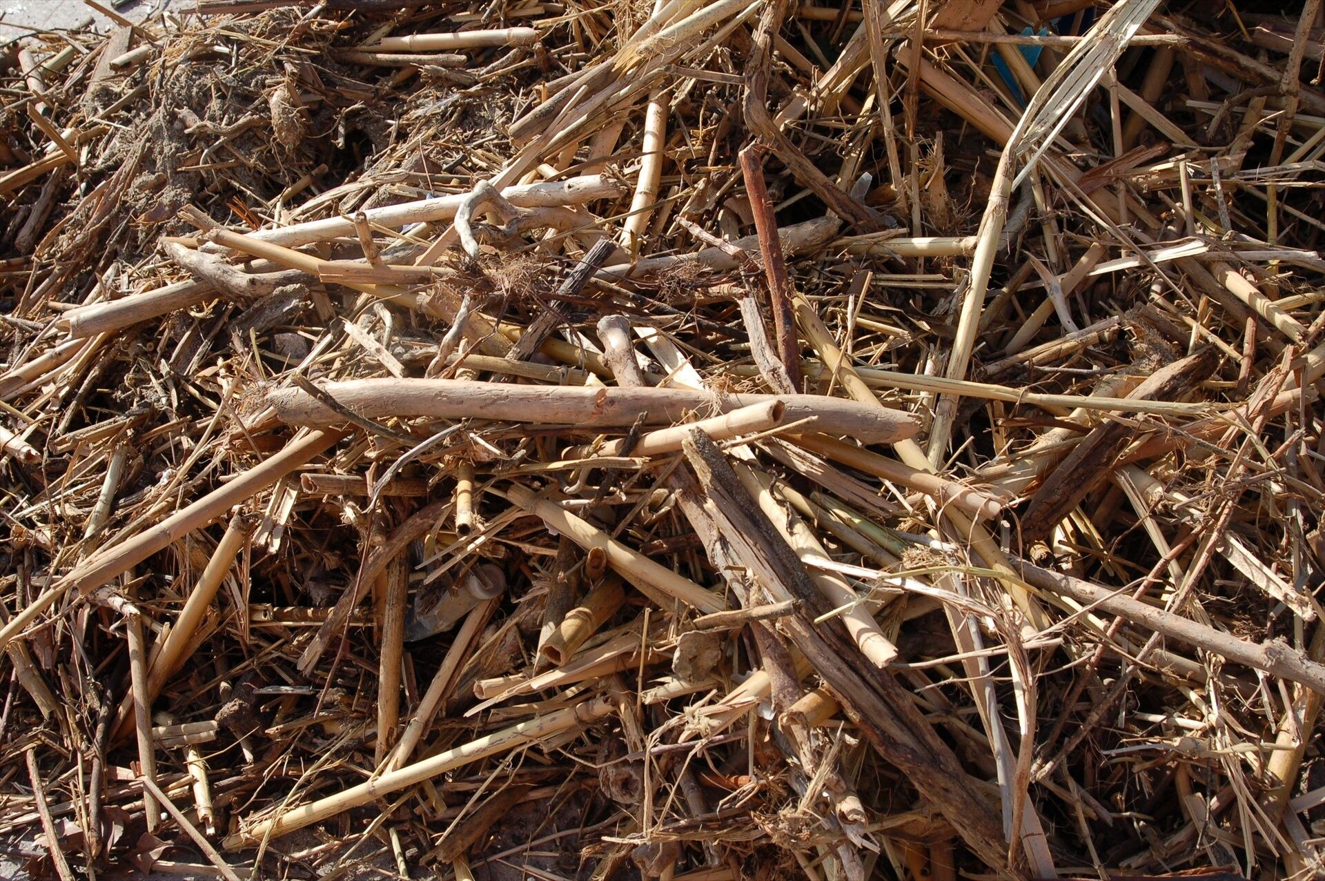 Las últimas borrascas dejan en las playas de la Costa del Sol más de 2.000 toneladas de cañas. REMITIDA / HANDOUT por MANCOMUNIDAD
