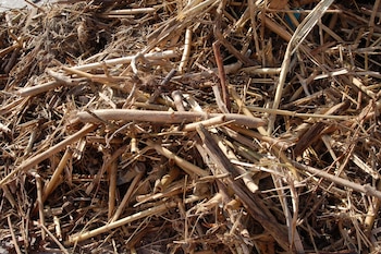 Las últimas borrascas dejan en