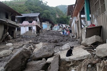 El pasado sábado, la oposición