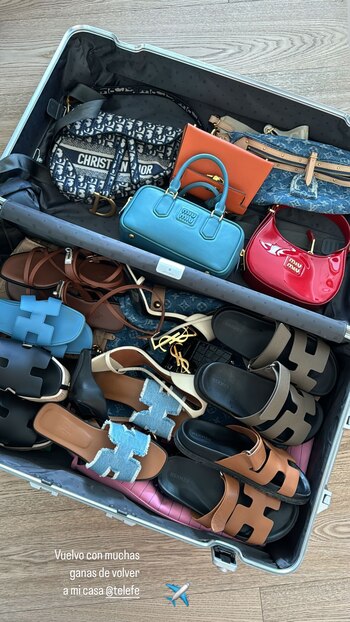 Wanda Nara graficó así la