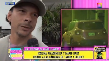 Mario Hart niega romance con Shirley Arica y cuenta cómo nació su cercanía con la influencer. Captura: Amor y Fuego.