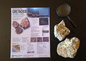 Un cartel explicativo con texto y mapas sobre fósiles, situado al lado de dos rocas porosas y una lupa de mano sobre una superficie oscura