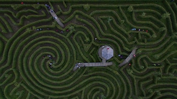 Laberinto del Parque Alpinia (Foto: